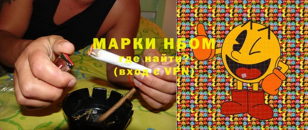 шишки Осинники