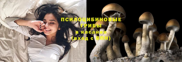 а пвп мука Абдулино
