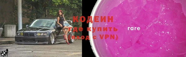 шишки Абаза