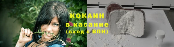 шишки Абаза