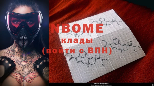 шишки Абаза