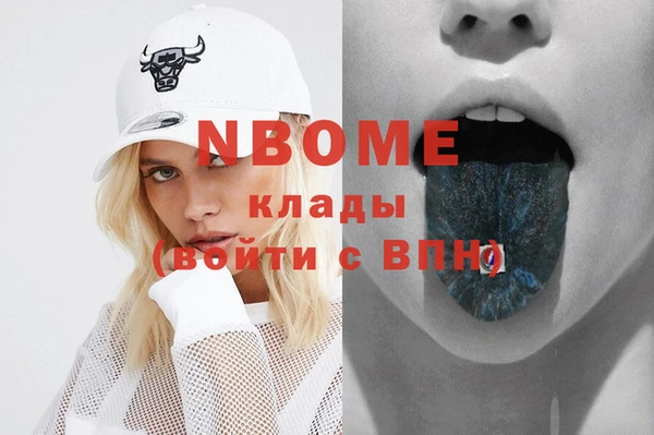 шишки Абаза