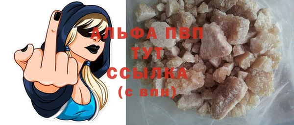 шишки Абаза