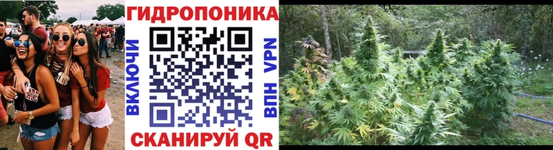 Бошки марихуана LSD WEED  Касли 